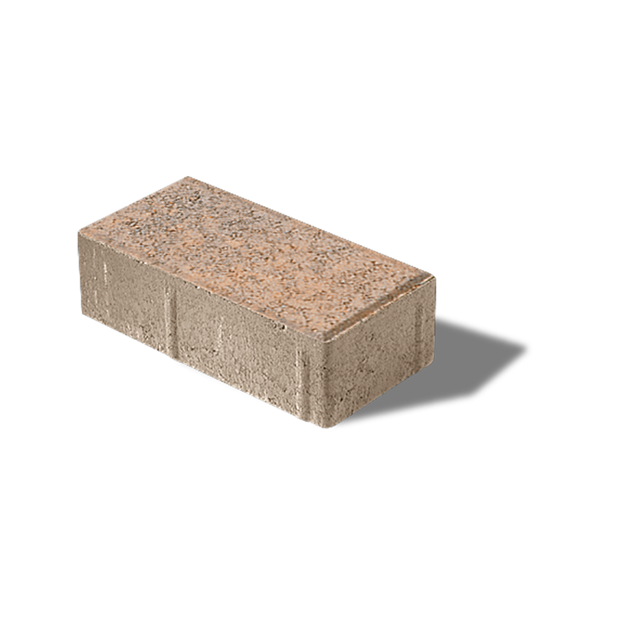 Hollandstone Paver 200x100x60 Beechwood