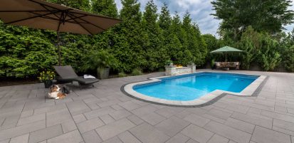 Dog Sitting on Pool Deck Patio with Pool Coping