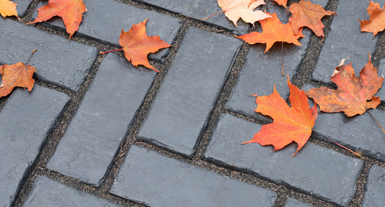 Blog TWH Fall 0495 1